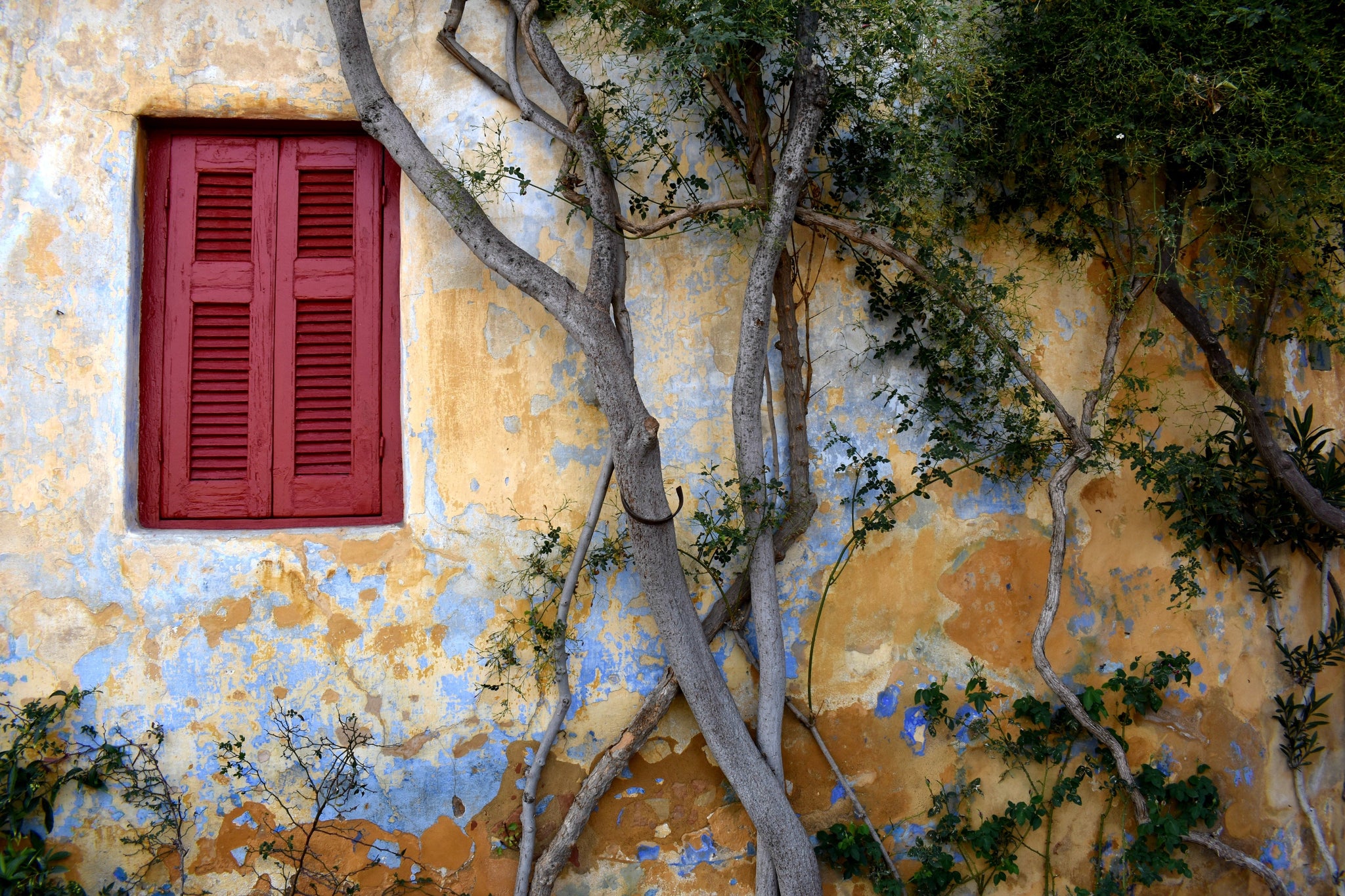 old building with red shuttered window