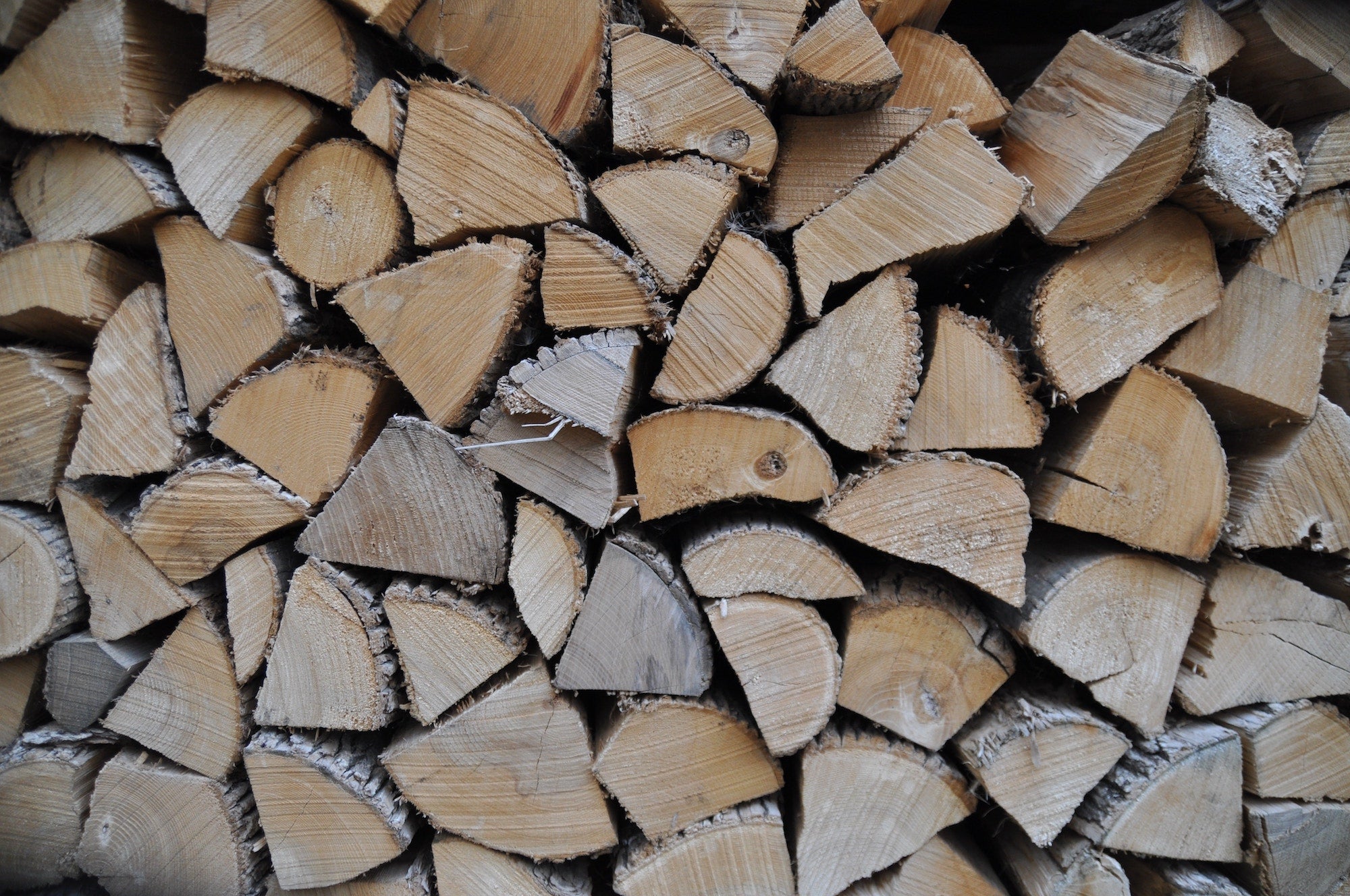 wood pile