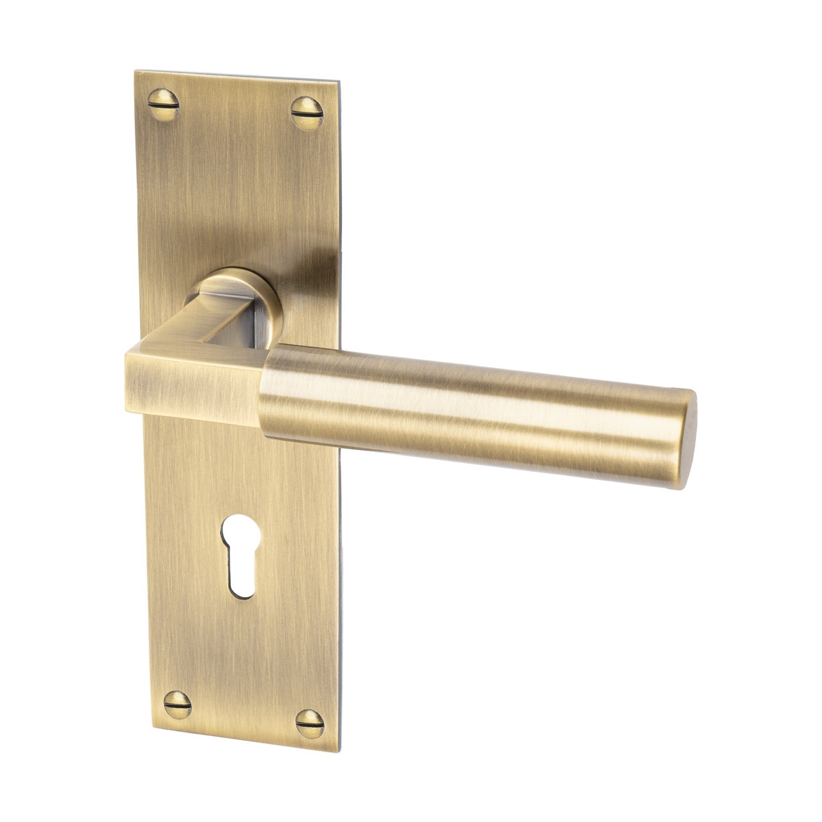 Bauhaus Low Profile Door Handles On Backplate