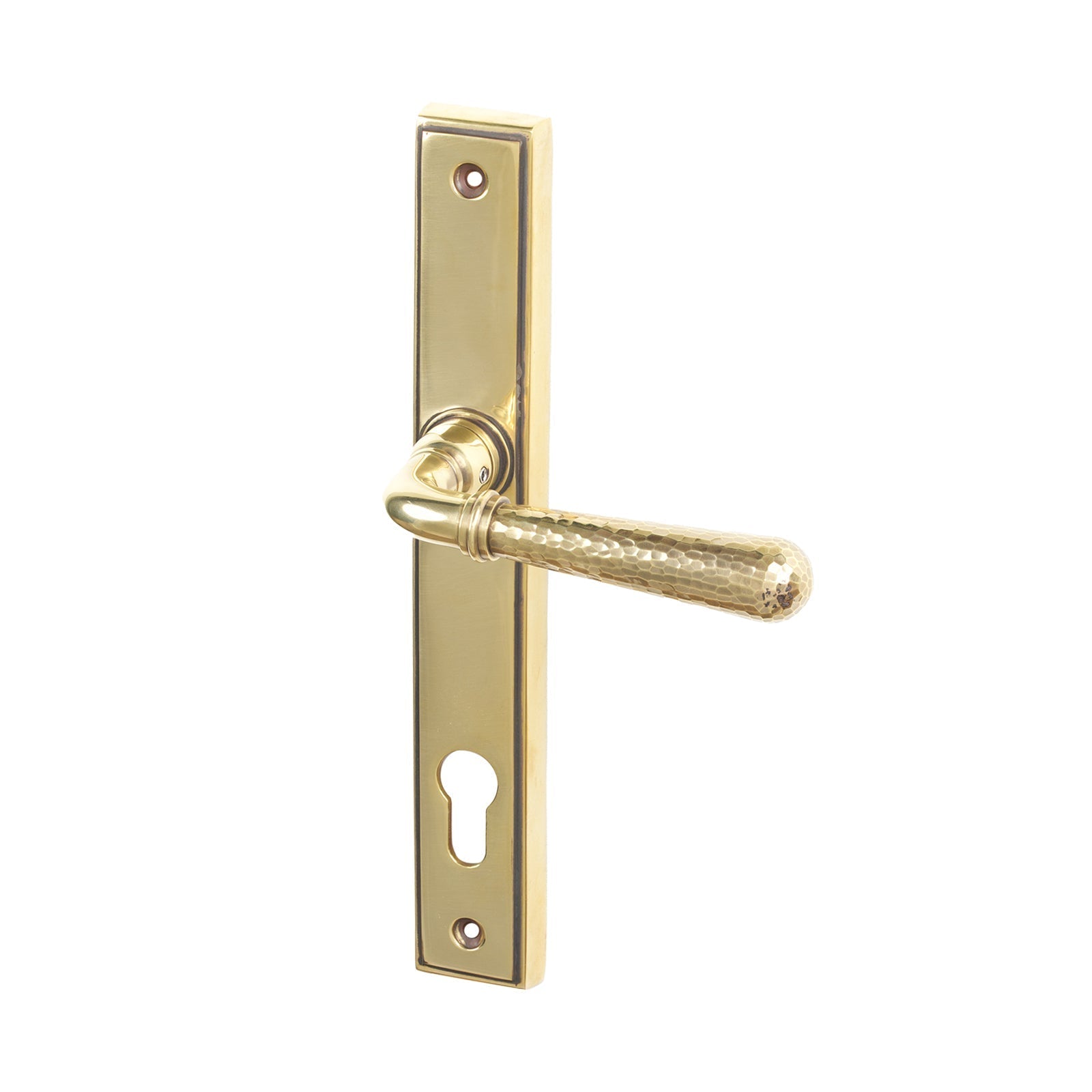 Aged Brass Hammered Newbury Slimline Multipoint Door Handle