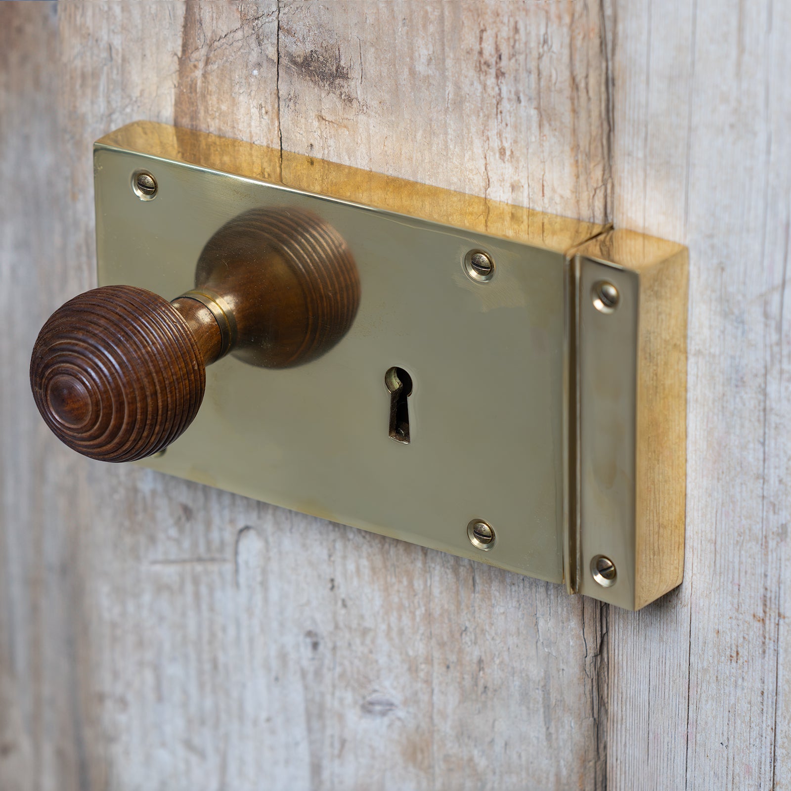 SHOW Lifestyle Photo Of Large Brass Rim Lock