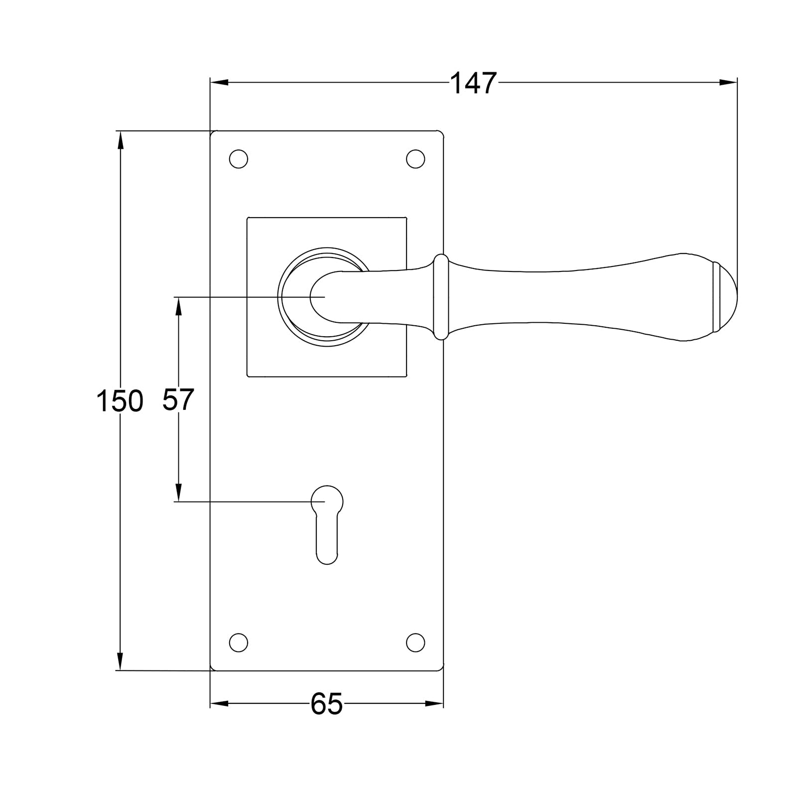 Derwent Pewter Lock Door Handles On Wide Backplate JPEG Drawing SHOW