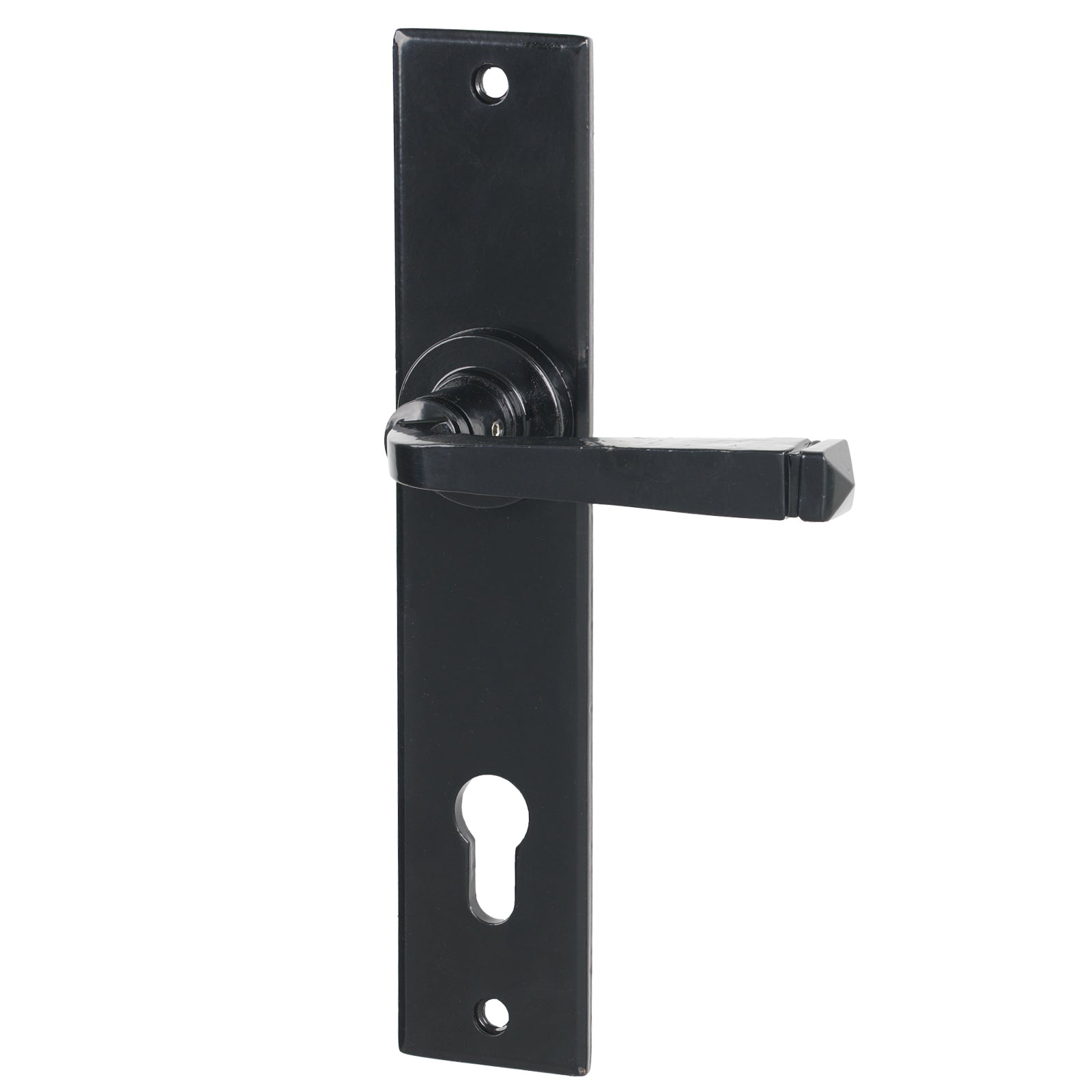 Avon Multipoint Door Handle