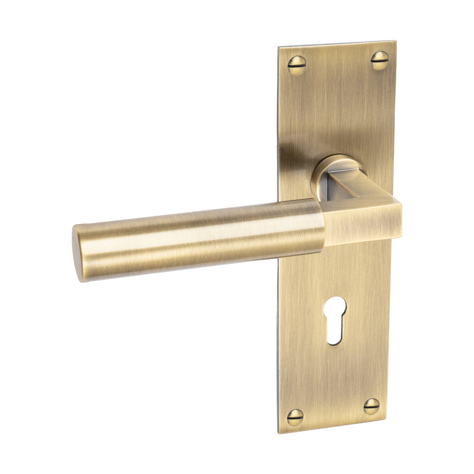 Bauhaus Low Profile Door Handles On Backplate