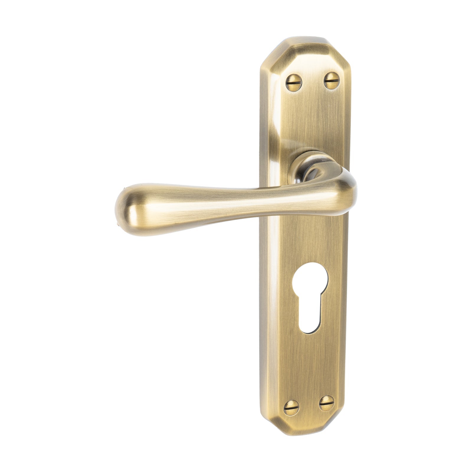 Charlbury Door Handles On Plate Euro Lock Handle in Aged Brass