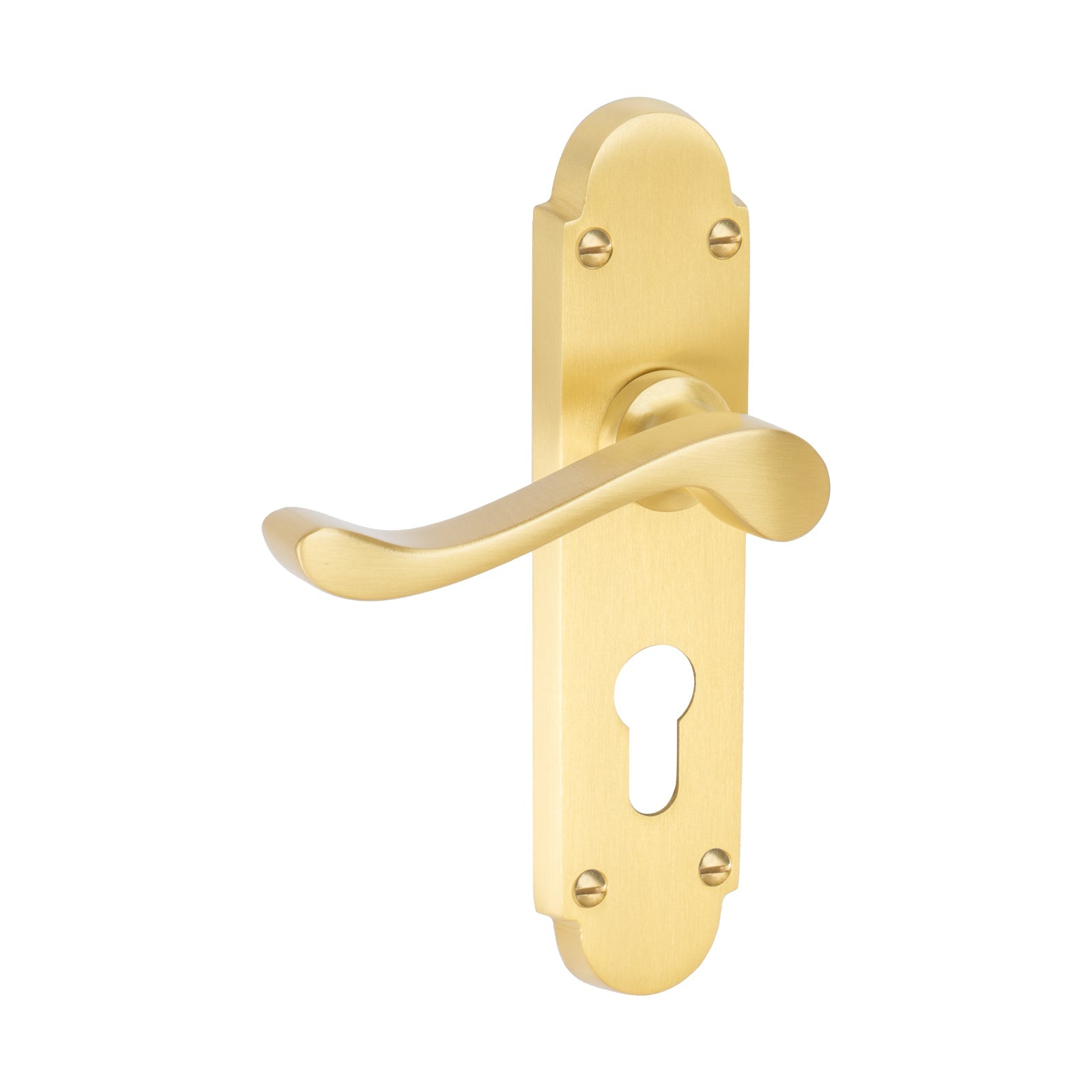 Savoy Door Handles On Plate Euro Lock Handle in Satin Brass