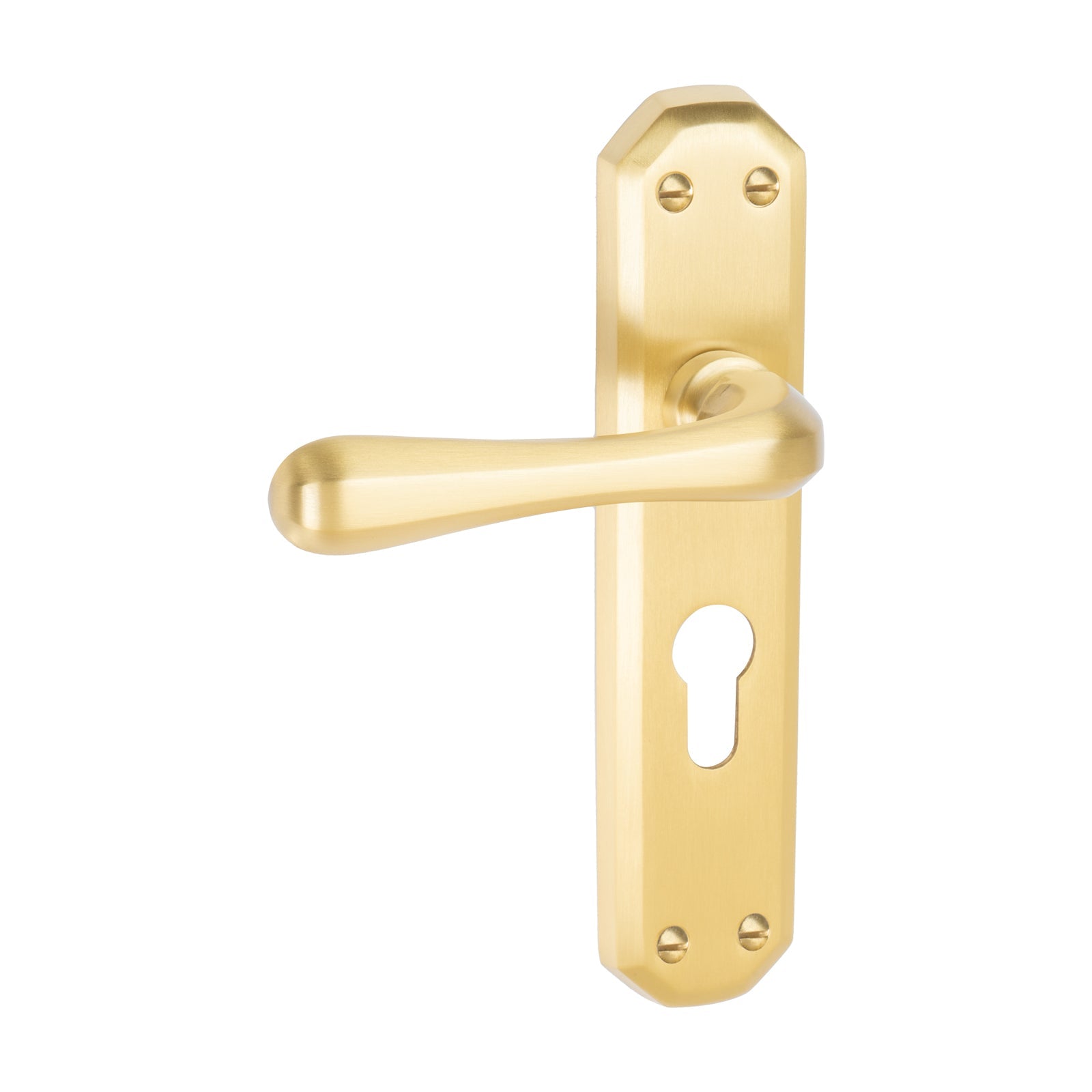 Charlbury Door Handles On Plate Euro Lock Handle in Satin Brass