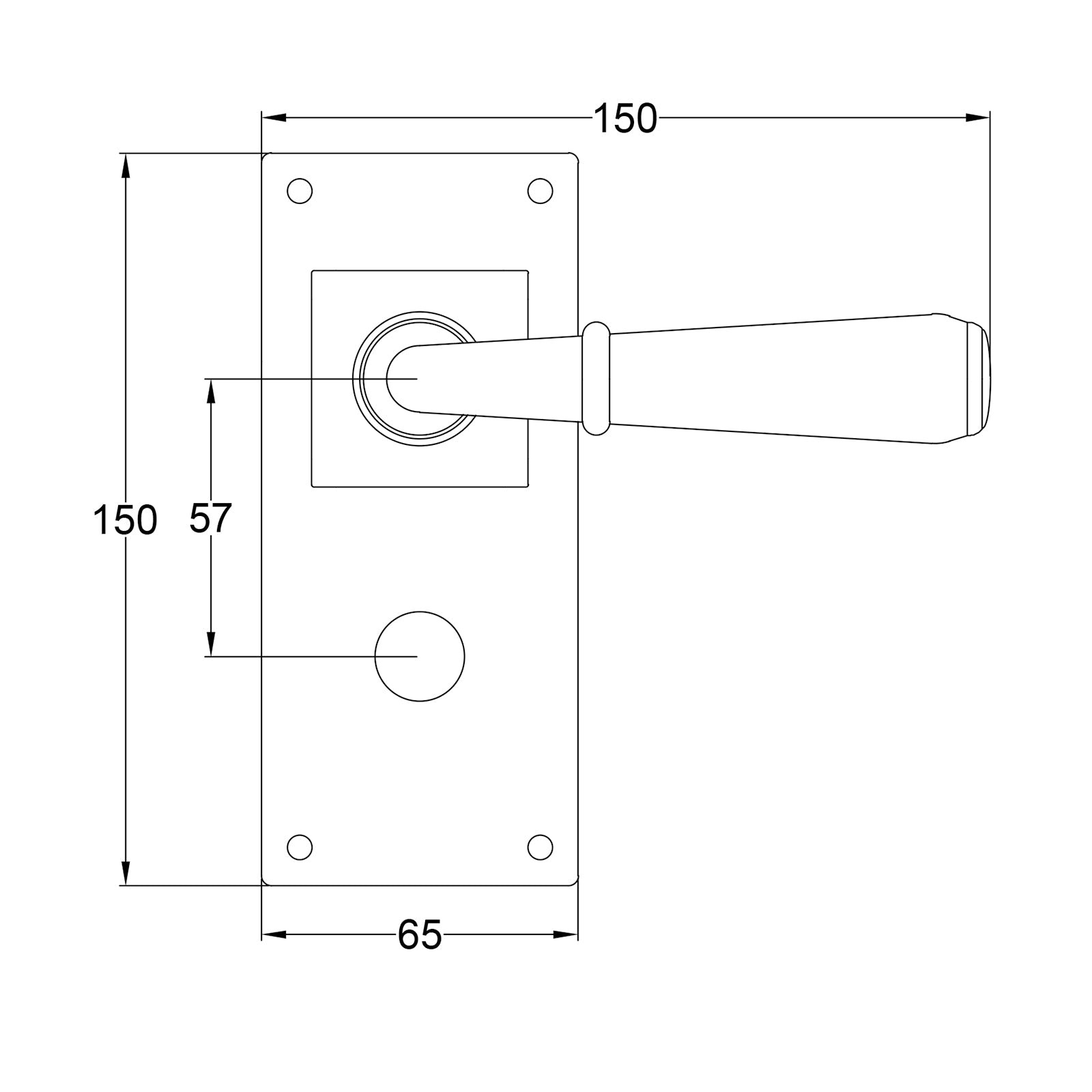 Fenwick Pewter Door Handles On Wide Backplate Bathroom SHOW